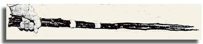 Picture of a birching rod, illus. by Rob Davies