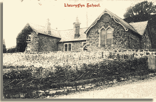 Llawr-y-glyn School