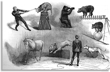 Circus from Illustrated London News