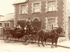 Horse & carriage 1891