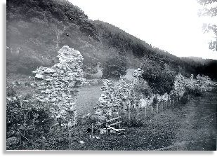 Abbey ruins, Abbeycwmhir