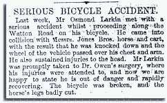 Serious Bicycle Accident