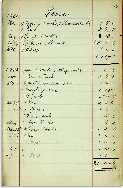 Farmer Stephens' pocket book:  losses