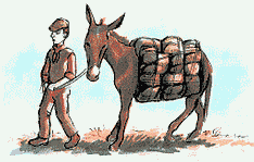 Donkey led by boy.  Illus. by Rob Davies